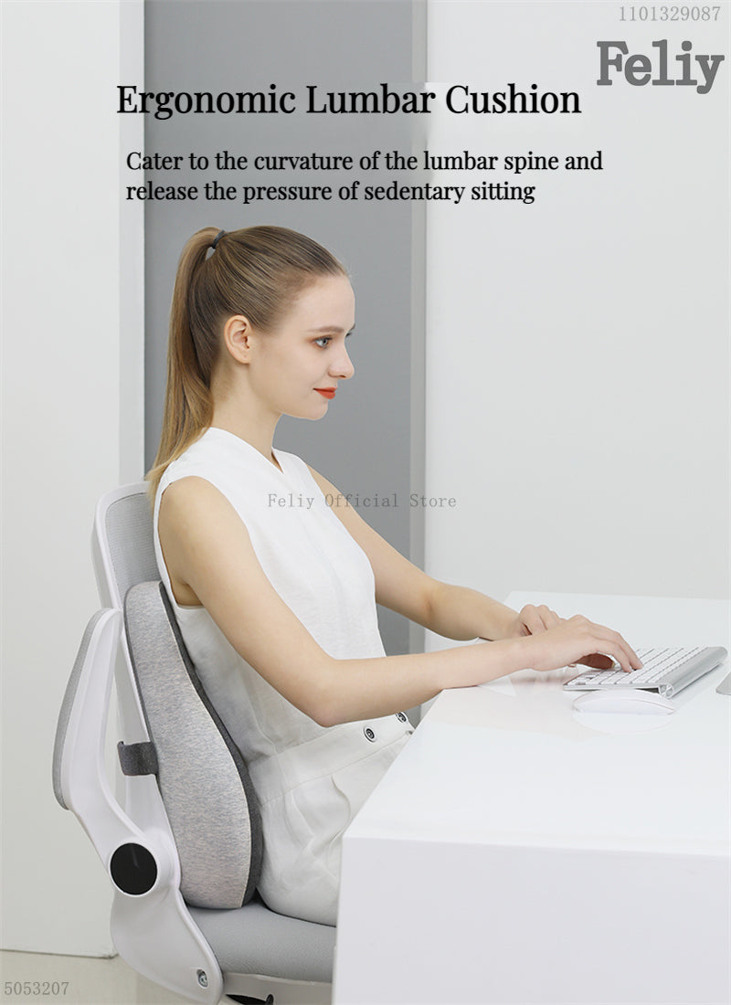 2-in-1 Ergonomic Chair Cushion Set – Coccyx & Lower Back Support