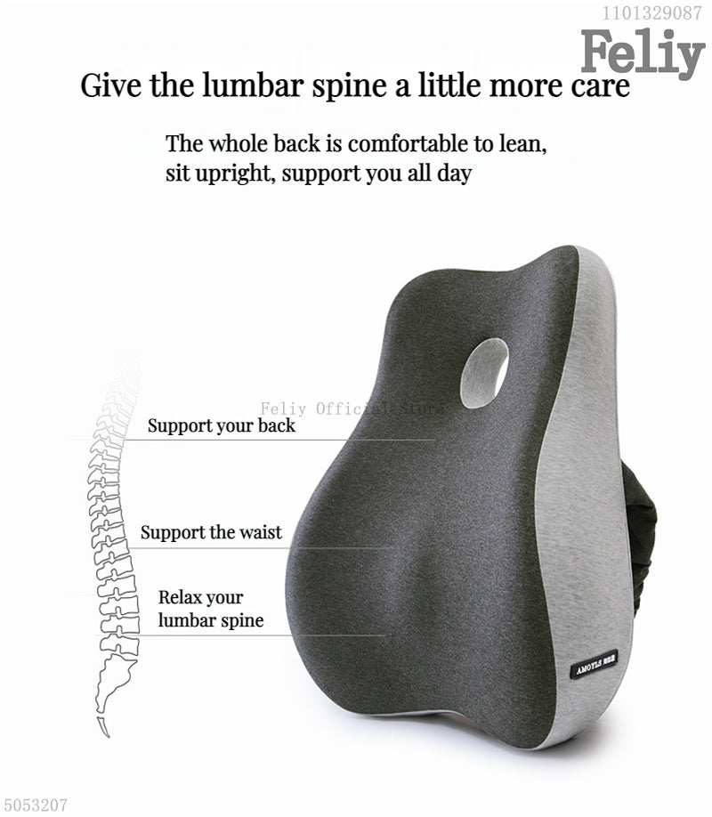 2-in-1 Ergonomic Chair Cushion Set – Coccyx & Lower Back Support