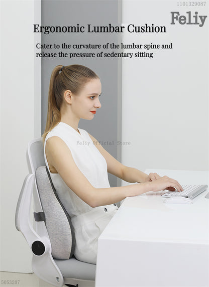 2-in-1 Ergonomic Chair Cushion Set – Coccyx & Lower Back Support